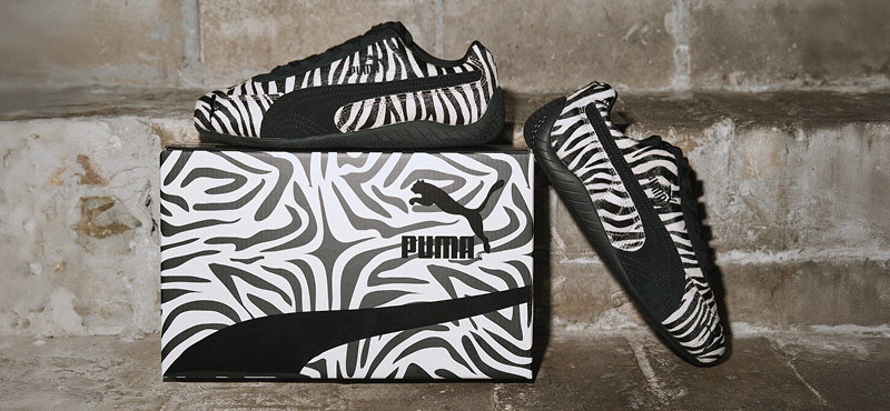 25AW_Zebra-web-08_800x370.jpg