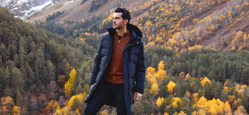 800x370_без всего (1).jpg